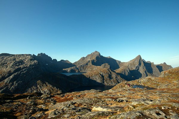Quels sont les meilleurs spots pour observer les oiseaux endémiques aux Philippines?